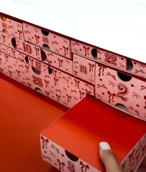 P. Louise Cruising Home For Christmas Advent Calendar - Image 2