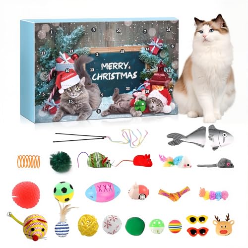 Cat Toy Set Advent Calendar