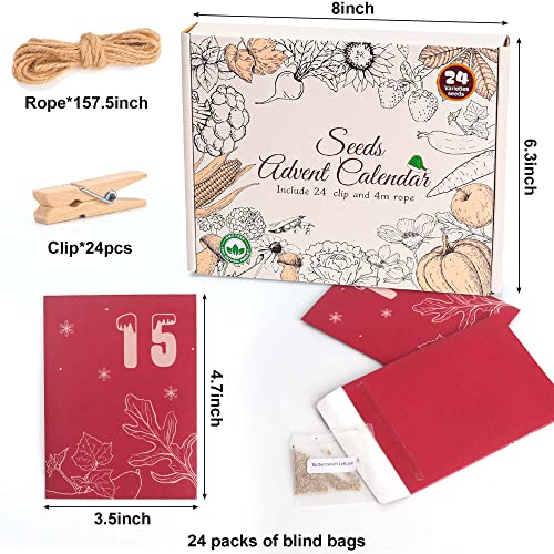Garden Plant Seeds Advent Calendar - Image 2