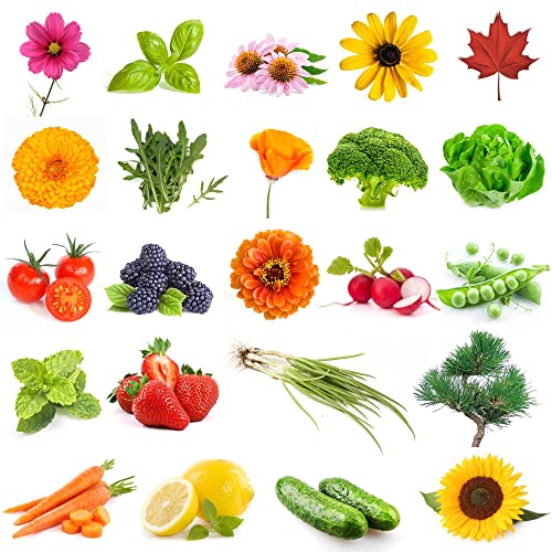 Garden Plant Seeds Advent Calendar - Image 4